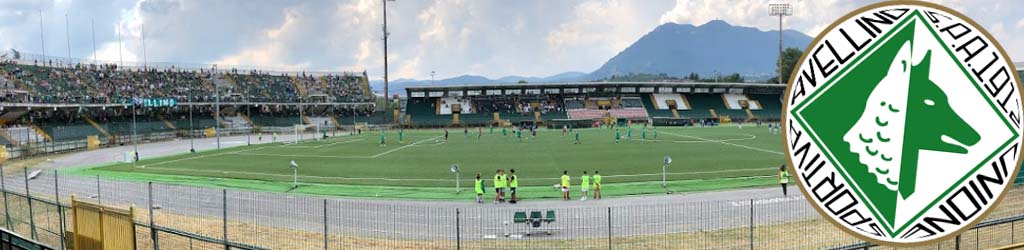 Stadio Partenio-Adriano Lombardi